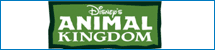 Guía Disney Animal Kingdom